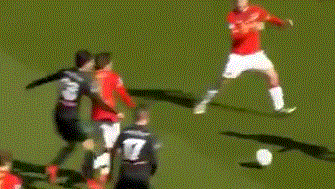 适应体系的 适应体系的