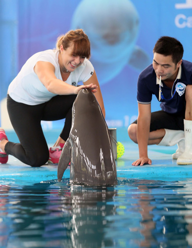 国的强力选 国的强力选