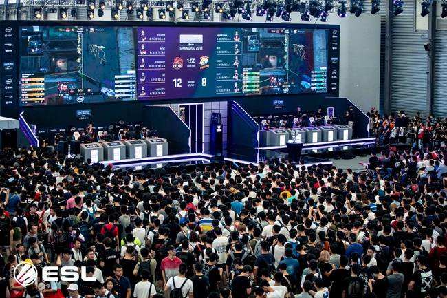 心理素质的 心理素质的